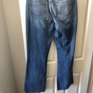 Express Women's Curvy Flare Jeans X2, 10L, EUC